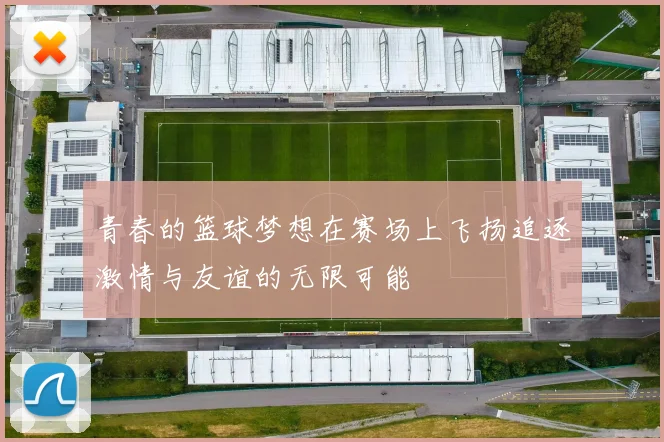 青春的篮球梦想在赛场上飞扬追逐激情与友谊的无限可能