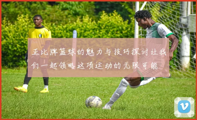 正比牌篮球的魅力与技巧探讨让我们一起领略这项运动的无限可能