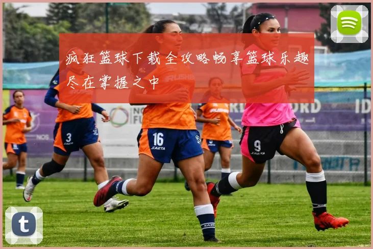 疯狂篮球下载全攻略畅享篮球乐趣尽在掌握之中