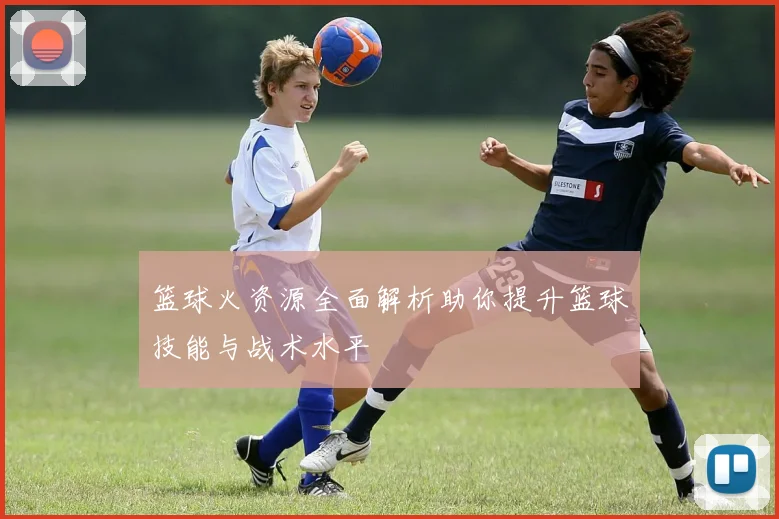 篮球火资源全面解析助你提升篮球技能与战术水平