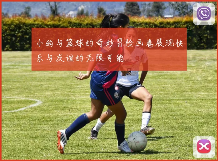 小狗与篮球的奇妙冒险画卷展现快乐与友谊的无限可能