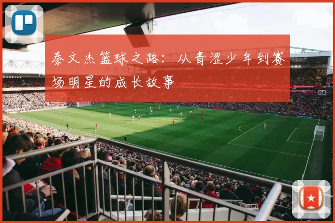 秦文杰篮球之路：从青涩少年到赛场明星的成长故事